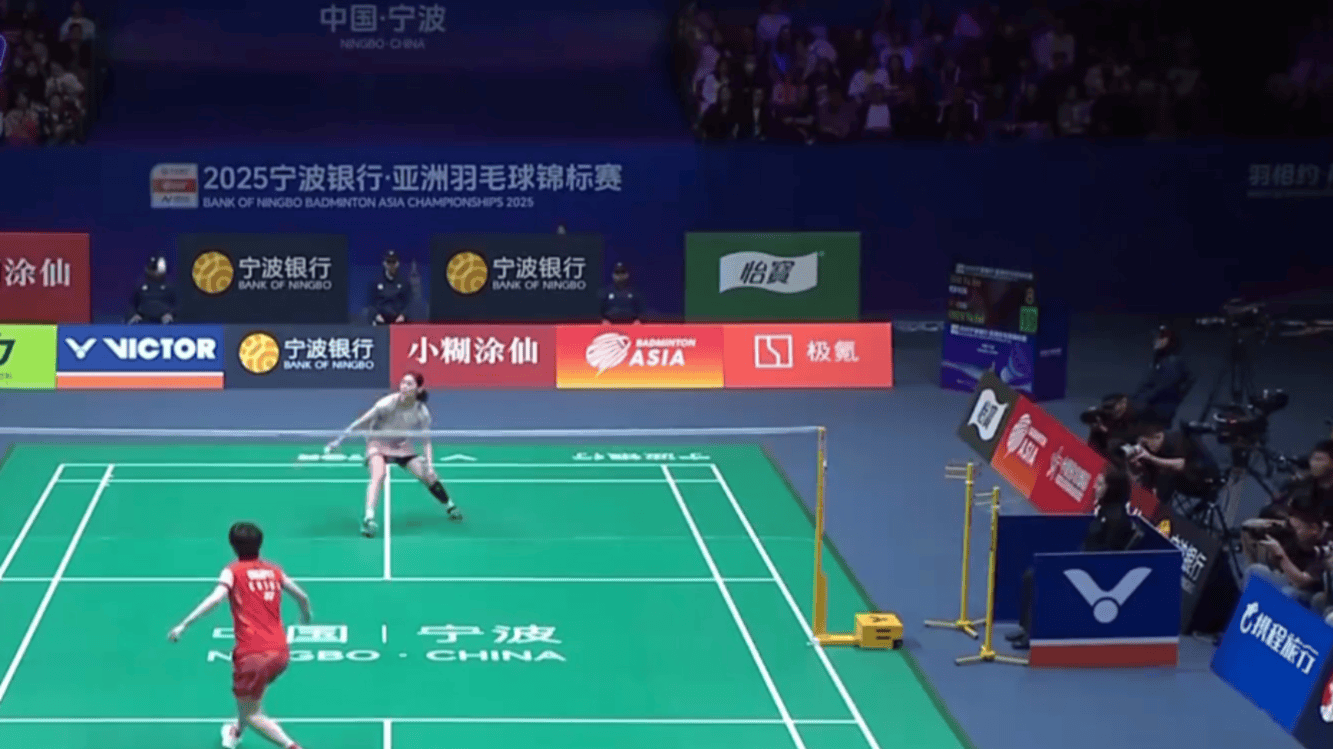 的国内球员 的国内球员