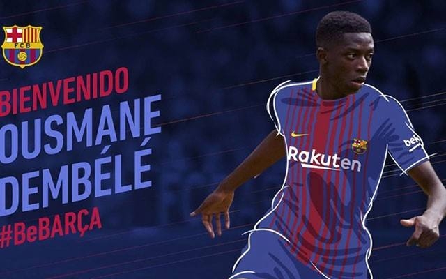 这一提议 这一提议